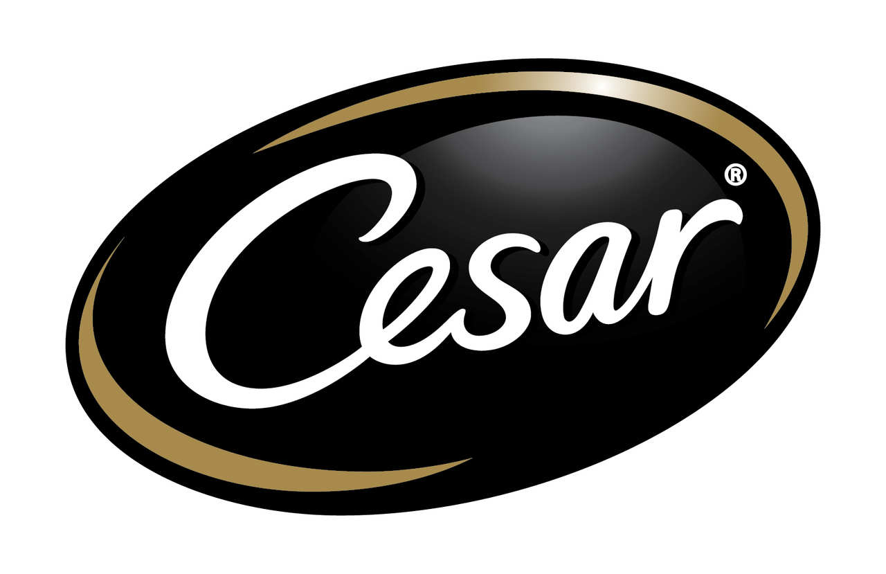 Cesar